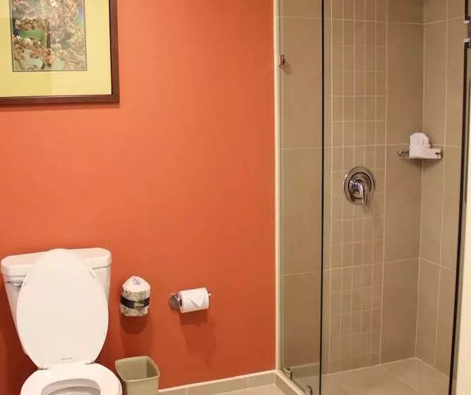 سوییت, Courtyard By Marriott San Jose Airport Alajuela