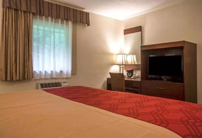 キングサイズベッドのスタンダードルーム, Econo Lodge Manchester Center