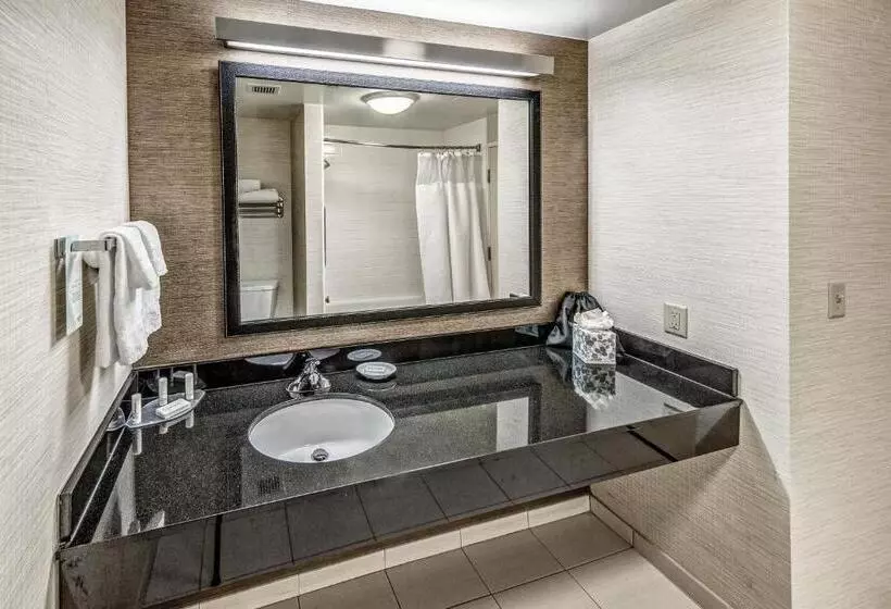 ２ダブルベッドのスタンダードルーム, Fairfield Inn And Suites By Marriott Austin Northwest/the Domain Area