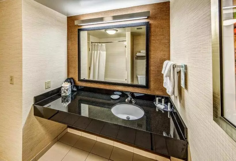 ２ダブルベッドのスタンダードルーム, Fairfield Inn And Suites By Marriott Austin Northwest/the Domain Area