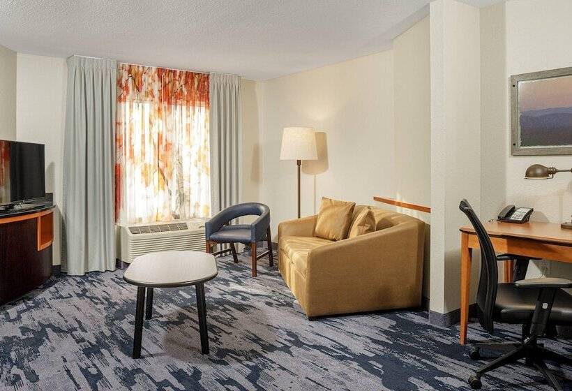 Студия Стандарт, Fairfield Inn & Suites By Marriott Paducah