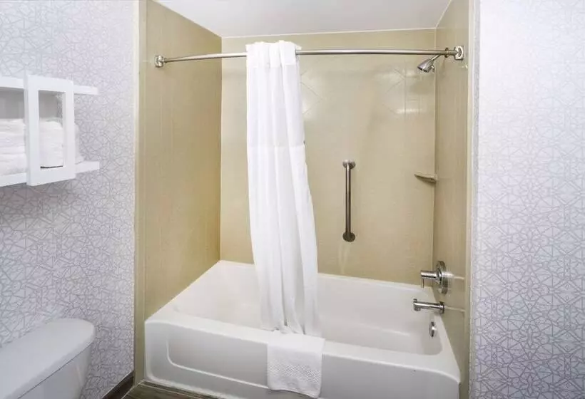 スタンダードルーム, Hampton Inn & Suites New Iberia Avery Island