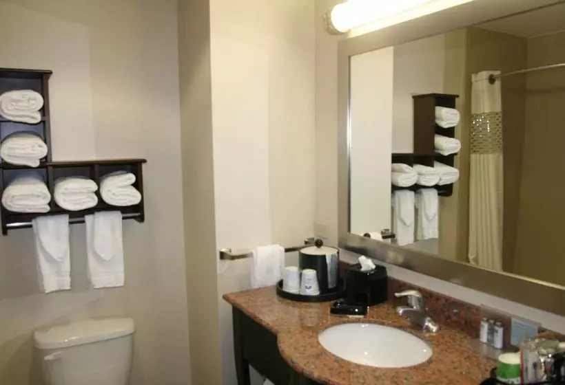 スタンダードルーム, Hampton Inn & Suites New Iberia Avery Island