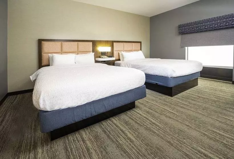 スタンダードルーム, Hampton Inn & Suites New Iberia Avery Island