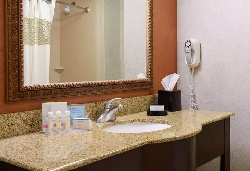 Standard-huone, Hampton Inn & Suites Peoria At Grand Prairie, Il
