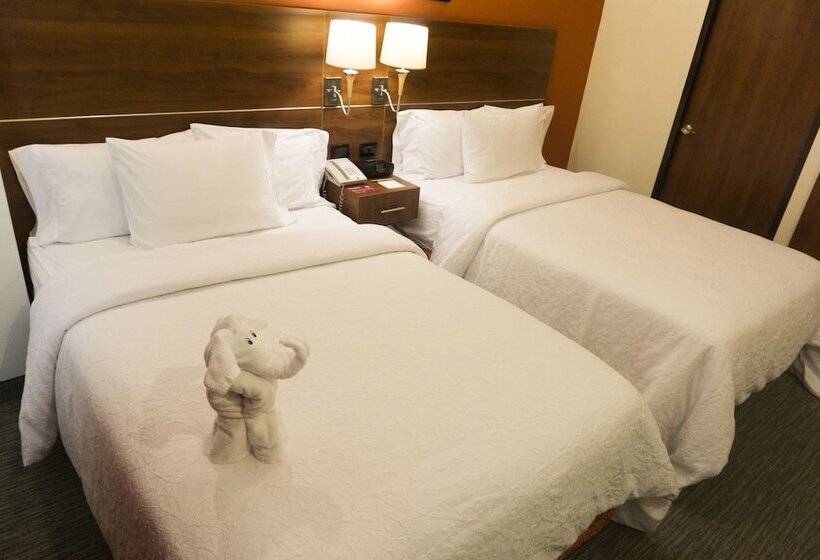 ２ダブルベッドのスタンダードルーム, Hampton Inn By Hilton San Juan Del Rio