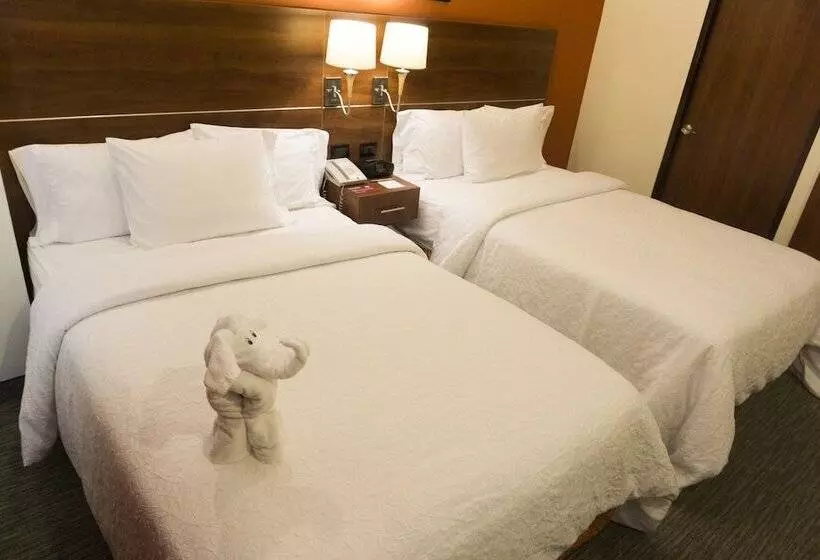 ２ダブルベッドのスタンダードルーム, Hampton Inn By Hilton San Juan Del Rio