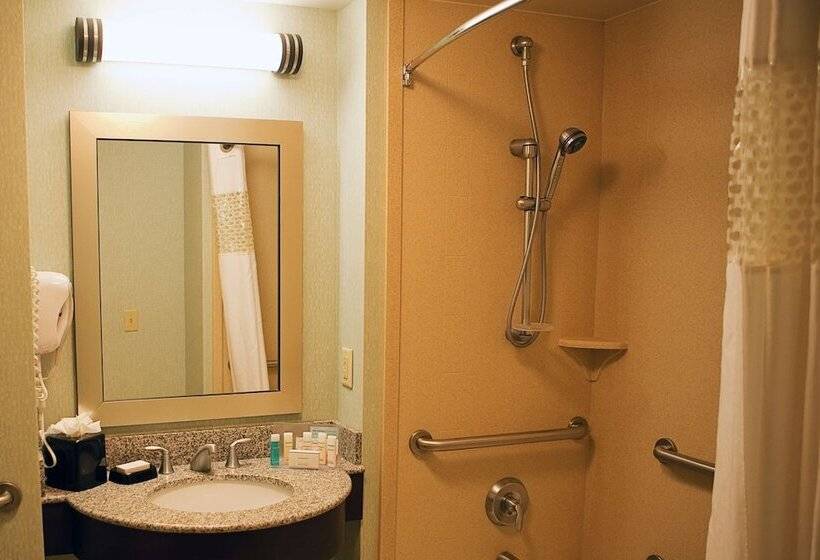 غرفة قياسية لذوى الاحتياجات الخاصة, Hampton Inn Colby