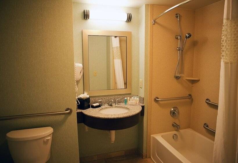 غرفة قياسية لذوى الاحتياجات الخاصة, Hampton Inn Colby