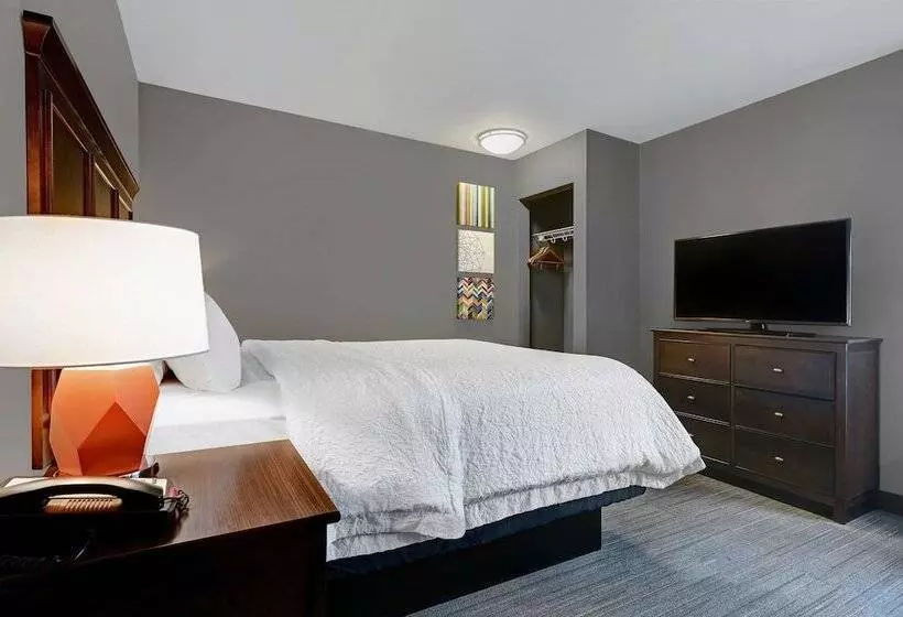 身障者適用スタンダードルーム, Hampton Inn Farmington