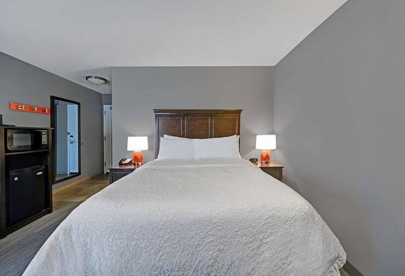 غرفة قياسية لذوى الاحتياجات الخاصة, Hampton Inn Farmington