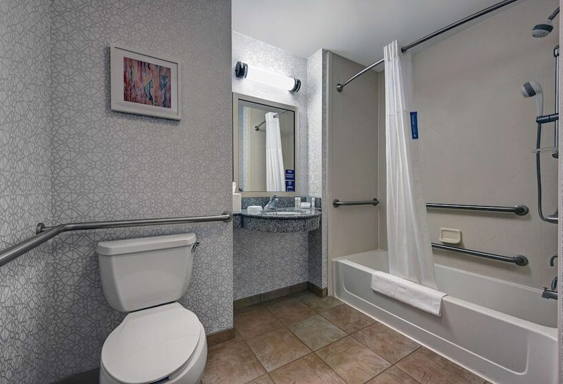 غرفة قياسية لذوى الاحتياجات الخاصة, Hampton Inn Farmington