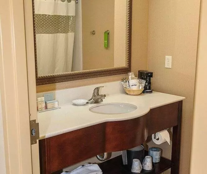 スタンダードルーム, Hampton Inn & Suites Brookings