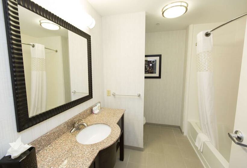 اتاق استاندارد با تخت بزرگ, Hampton Inn & Suites Oklahoma City Airport