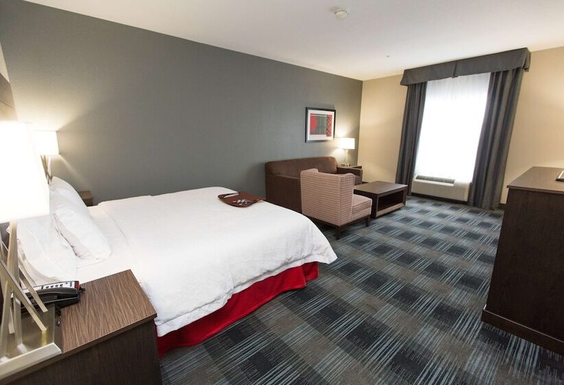 اتاق استاندارد با تخت بزرگ, Hampton Inn & Suites Oklahoma City Airport