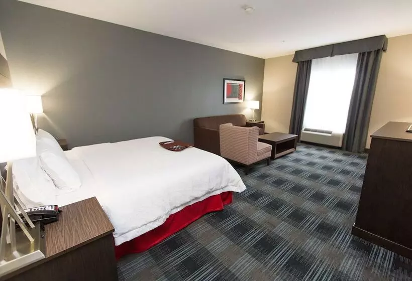 キングサイズベッドのスタンダードルーム, Hampton Inn & Suites Oklahoma City Airport