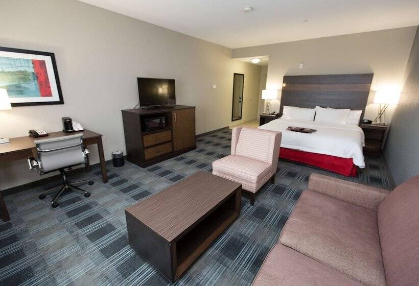 اتاق استاندارد با تخت بزرگ, Hampton Inn & Suites Oklahoma City Airport