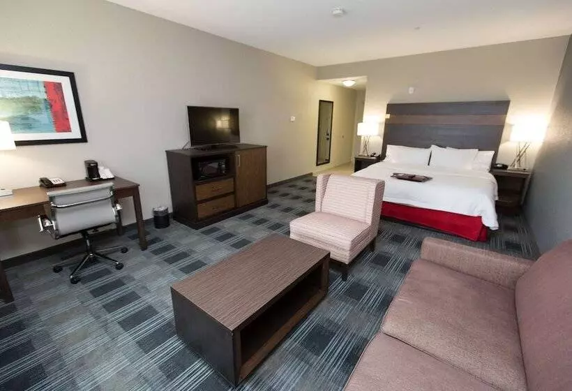 キングサイズベッドのスタンダードルーム, Hampton Inn & Suites Oklahoma City Airport