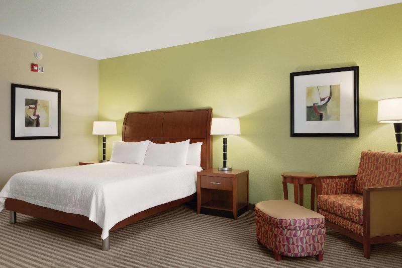 带大床的标准间, Hilton Garden Inn Houston/clear Lake Nasa