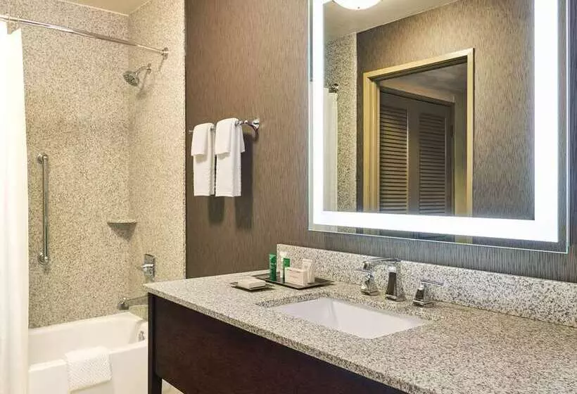 اتاق استاندارد با تخت بزرگ, Hilton Jaipur