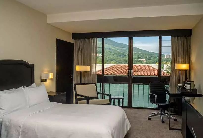 اتاق اجرایی با تخت بزرگ, Hilton Jaipur