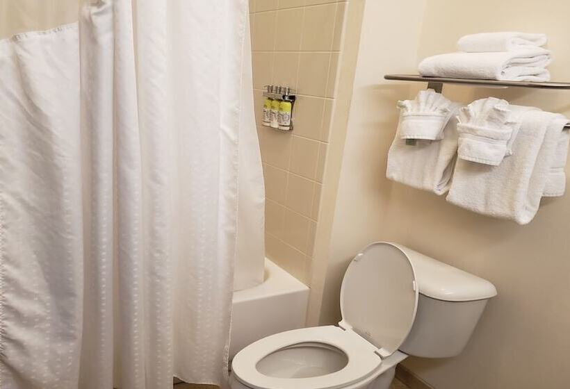 스탠다드 룸, Holiday Inn Express & Suites Cambridge, An Ihg