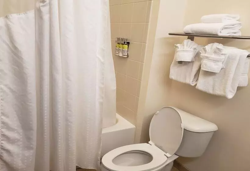 スタンダードルーム, Holiday Inn Express & Suites Cambridge, An Ihg