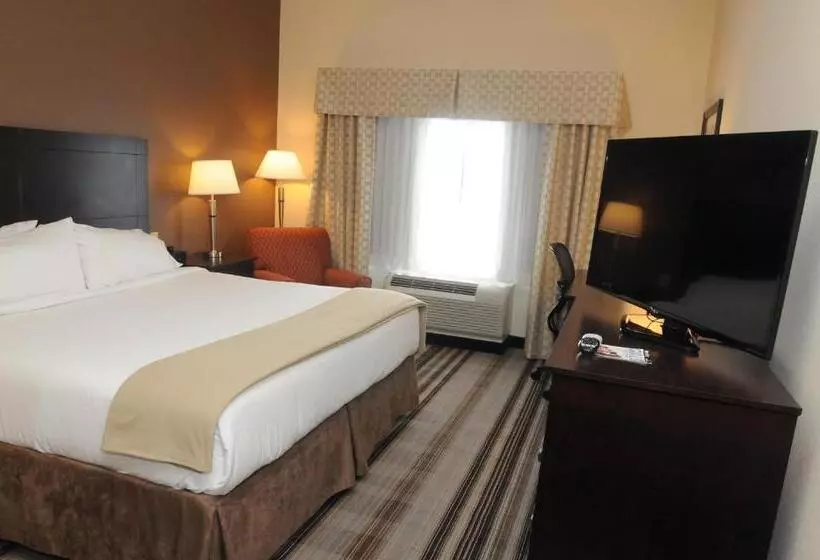 キングサイズベッドのスタンダードルーム, Holiday Inn Express & Suites Cambridge, An Ihg