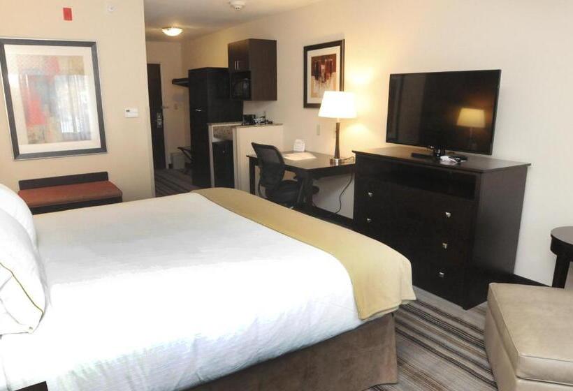 스탠다드 룸 킹사이즈 침대, Holiday Inn Express & Suites Cambridge, An Ihg