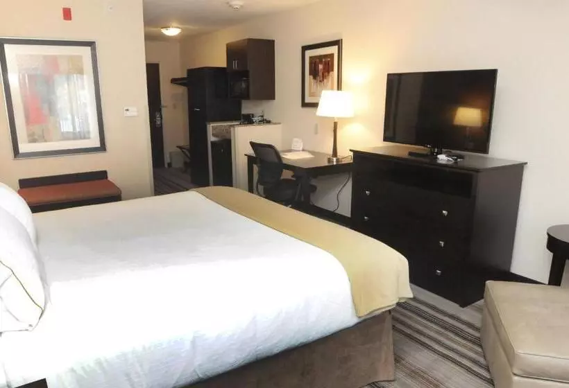 キングサイズベッドのスタンダードルーム, Holiday Inn Express & Suites Cambridge, An Ihg
