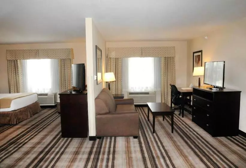身障者適用スイートルーム, Holiday Inn Express & Suites Cambridge, An Ihg