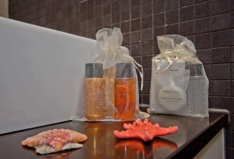 エコノミールーム, Xenia