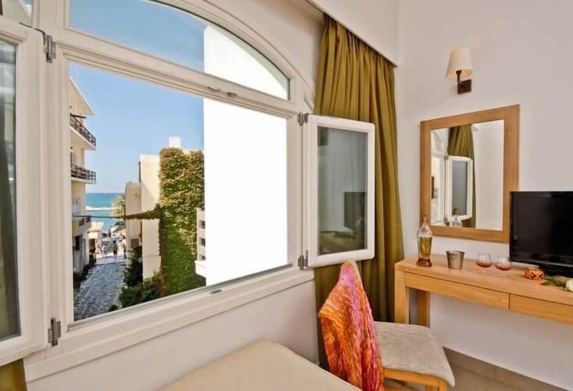 スタンダードルーム, Xenia