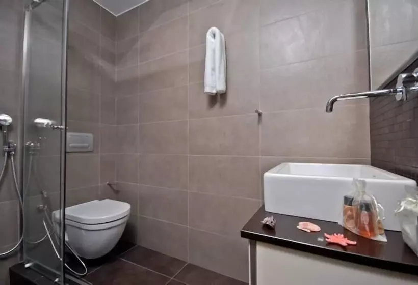 اتاق استاندارد یک نفره, Xenia
