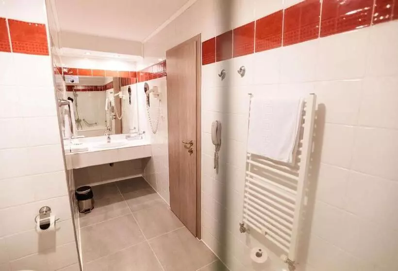اتاق استاندارد با تخت بزرگ, Best Western Plus Lido