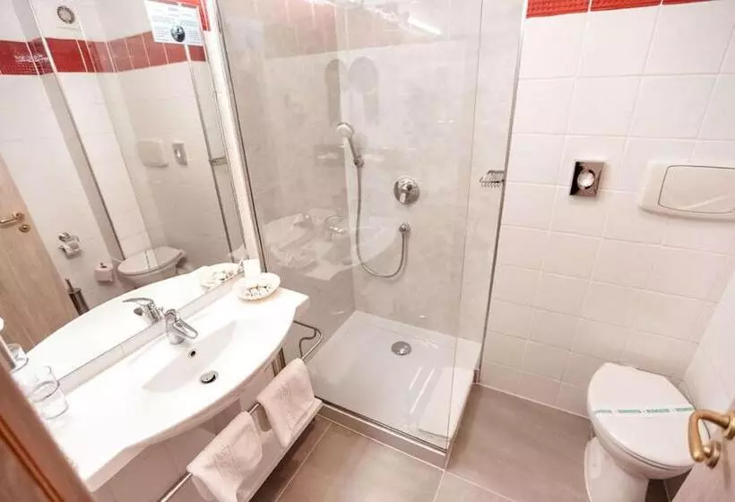 اتاق استاندارد با تخت بزرگ, Best Western Plus Lido