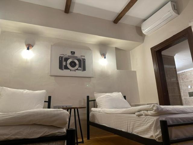 اتاق اکونومی, Blue Sea Garden