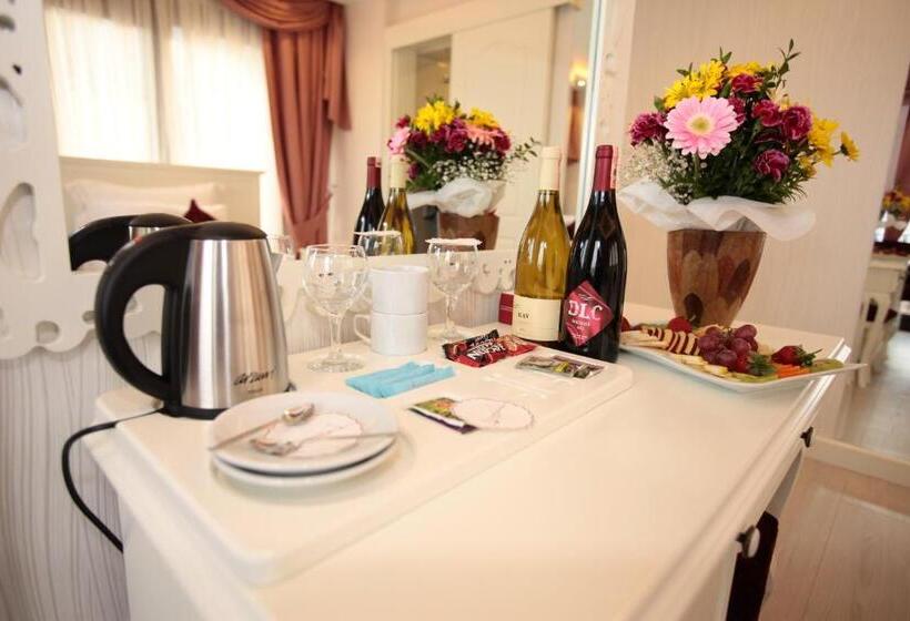 اتاق سوپریور یک تخته, Dream Bosphorus