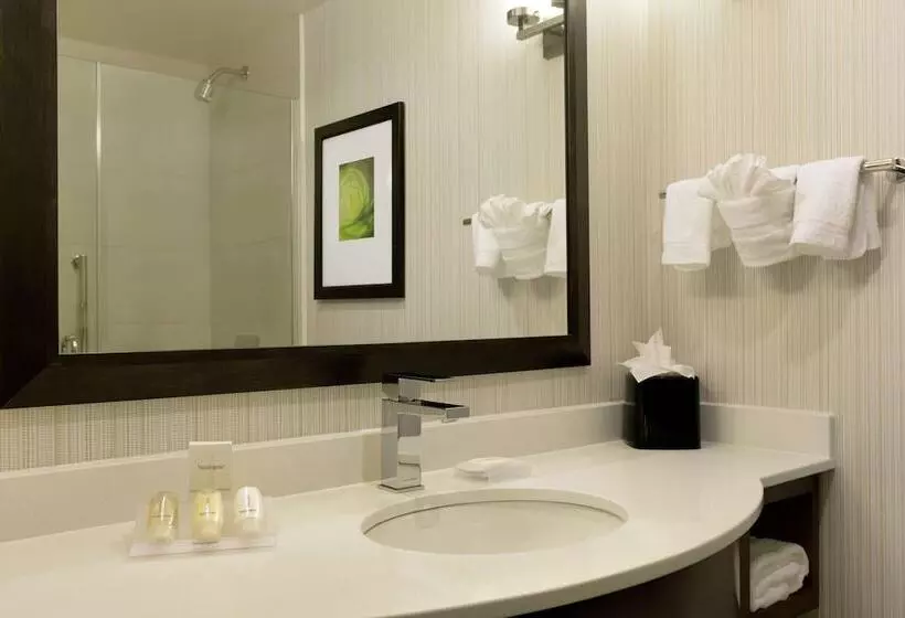 Deluxe-huone, Hilton Garden Inn New York/manhattanmidtown East
