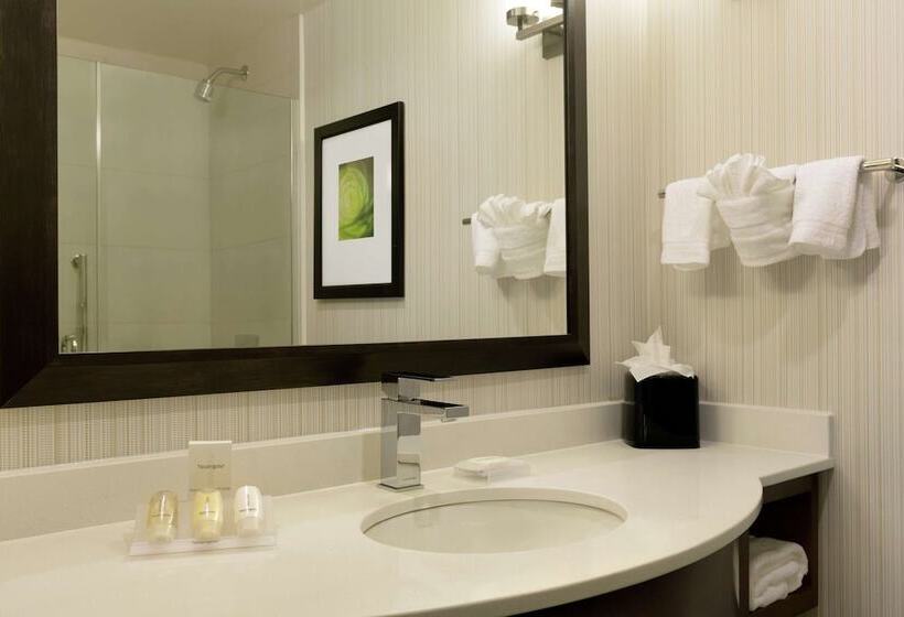 Номер Премиум, Hilton Garden Inn New York/manhattanmidtown East