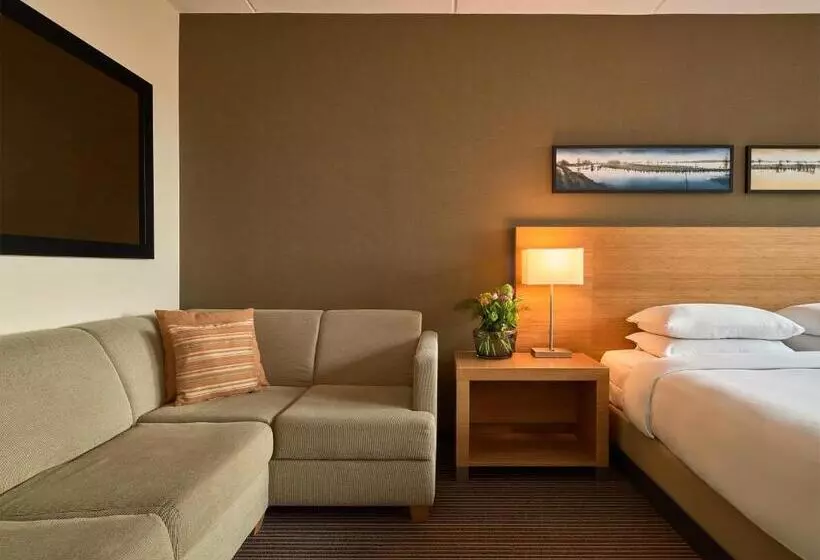 キングサイズベッドのスタンダードルーム, Hyatt Place Amsterdam Airport
