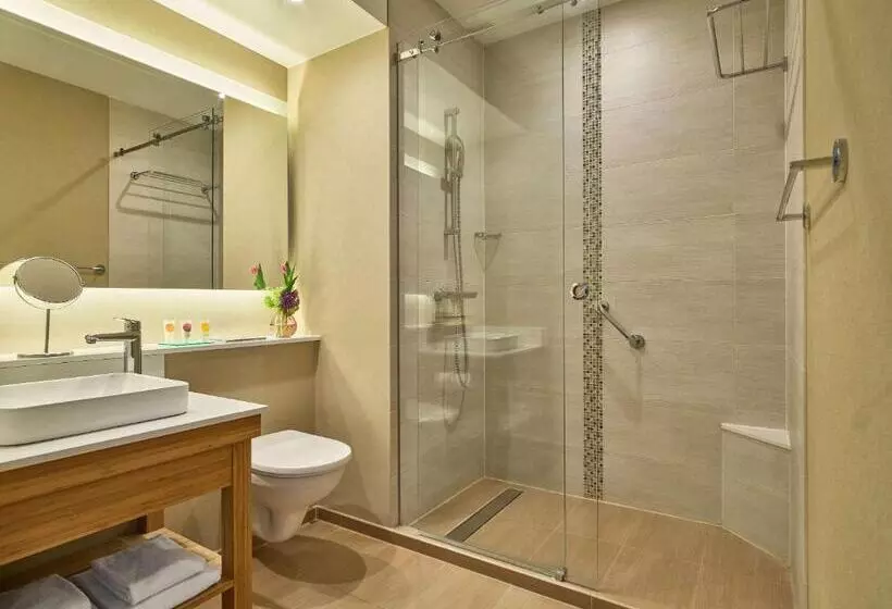 上層階スタンダードルーム, Hyatt Place Amsterdam Airport