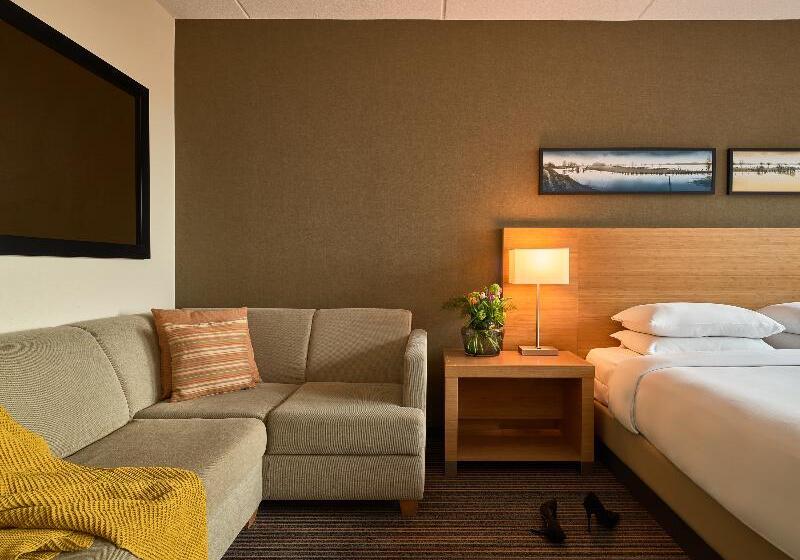 Стандартный Номер Кровать Кинг, Hyatt Place Amsterdam Airport