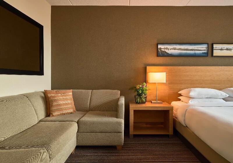 带大床的标准间, Hyatt Place Amsterdam Airport