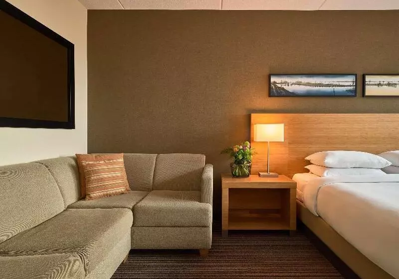 キングサイズベッドのスタンダードルーム, Hyatt Place Amsterdam Airport