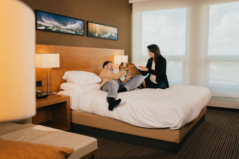 带大床的标准间, Hyatt Place Amsterdam Airport