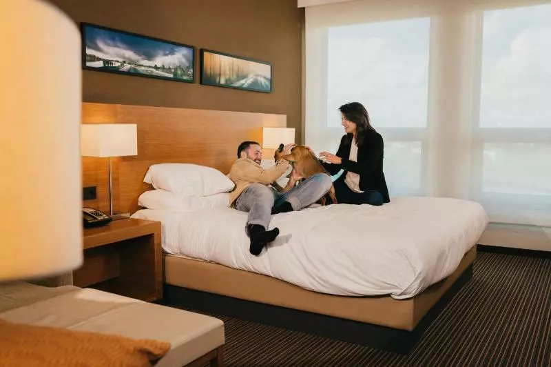 キングサイズベッドのスタンダードルーム, Hyatt Place Amsterdam Airport