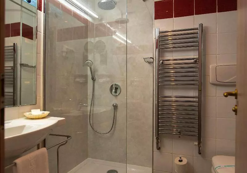 اتاق استاندارد با تخت بزرگ, Best Western Plus Lido