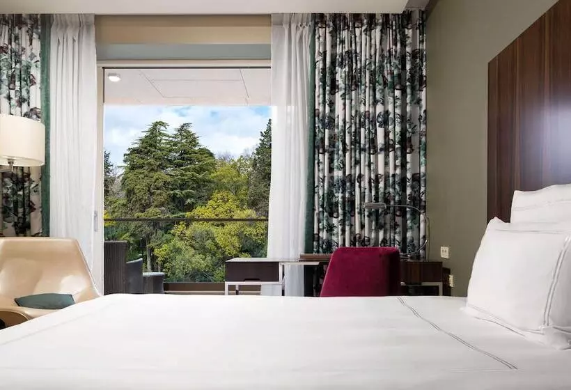 スタンダードルーム, Swissôtel Resort Sochi Kamelia