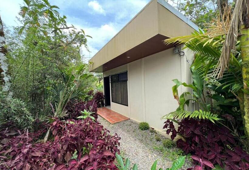 غرفه قياسيه سريرين مزدوجين, Rio Celeste To Know